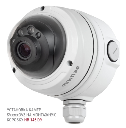 Beward SV2010DVZ (2.8-11 мм) Видеокамера IP