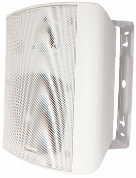 Tantos TSo-SW15k Громкоговоритель