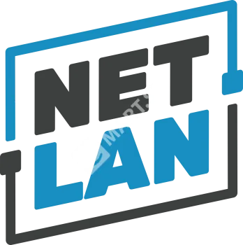 NETLAN EC-WA-125450-W-G-GY Настенный шкаф 19"