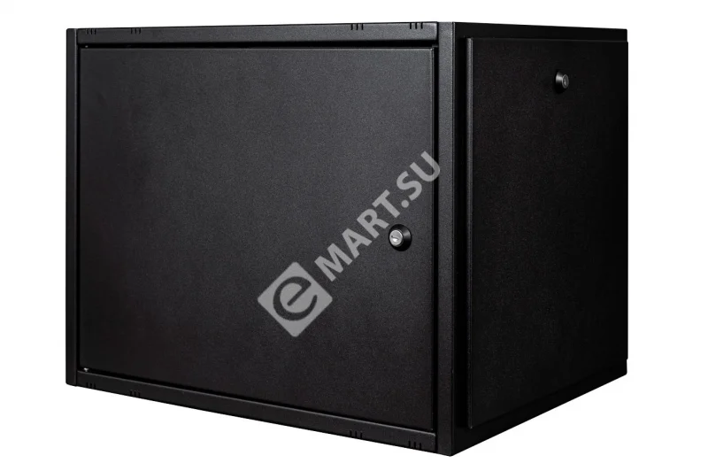 Servernyy-shkaf-nastennyy-RackMann-9-U-_600x450_-_1_ (1)