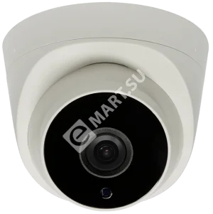 Tantos TSi-Eeco25FP видеокамера IP