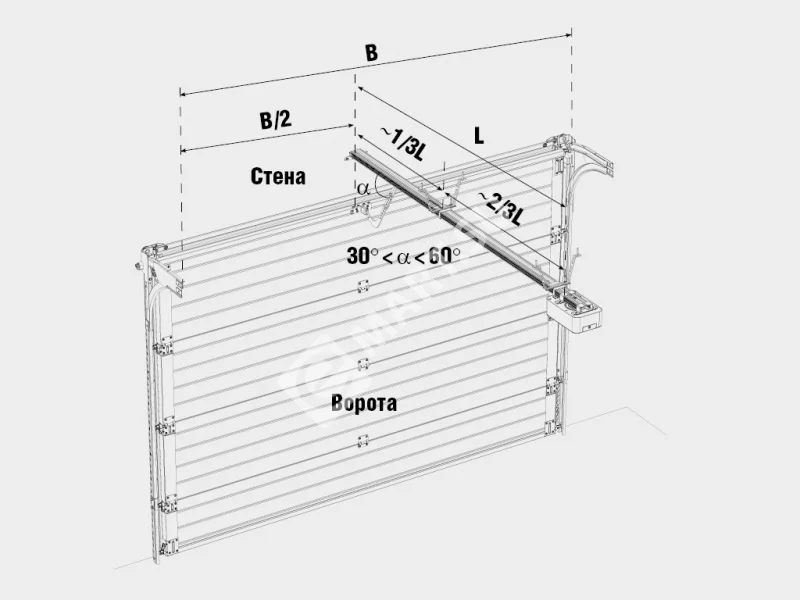 секционные (1)